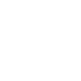 sohn icon